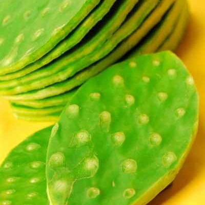 Salade de cactus aux pâtes colorées et à la feta