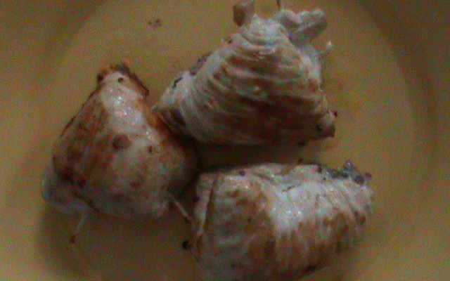 Involtinis au poulet