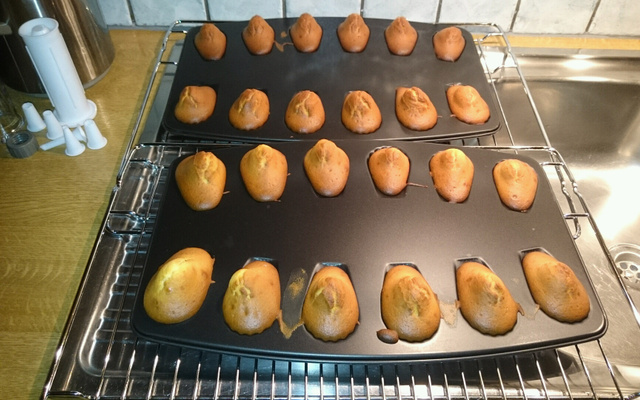 Madeleines vite faites et savoureuses
