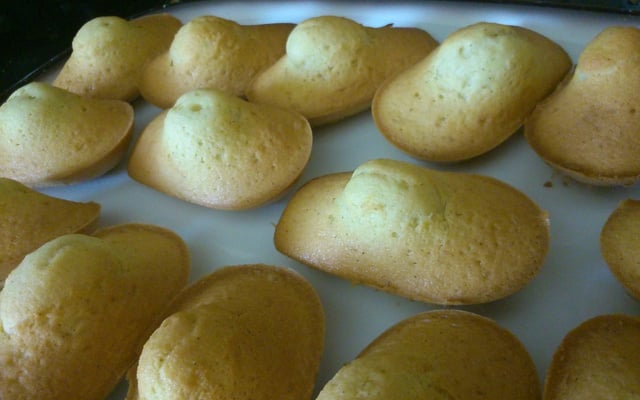 Les madeleines de mon enfance
