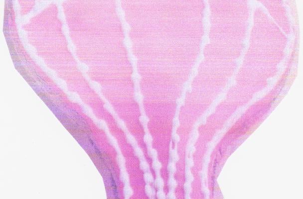 Pantin rose d'annonay