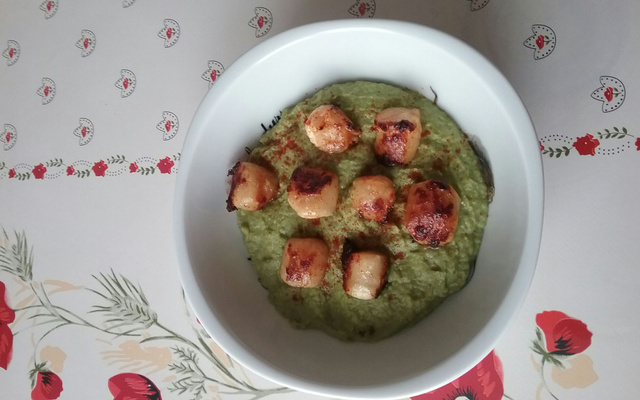 Saint-Jacques sur mousse de poireaux