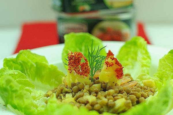 Salade de lentilles, ananas et dés de saumon