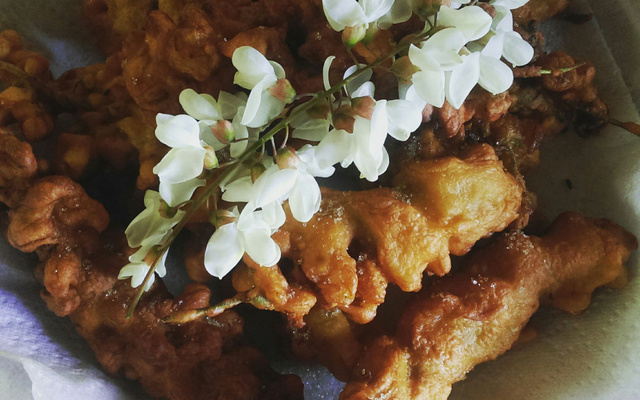 Beignets aux fleurs d'acacias