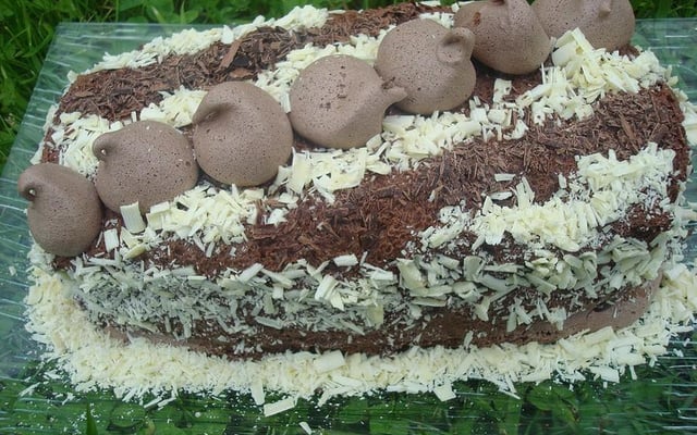 Ma Bûche Concorde