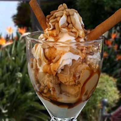 Glace au miel et ses amarettis