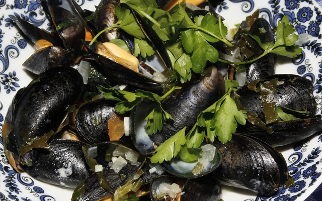 Moules à la crème