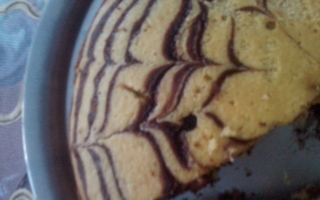 Le zébré chocolat pistache