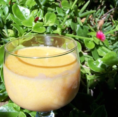 Crème à l'abricot