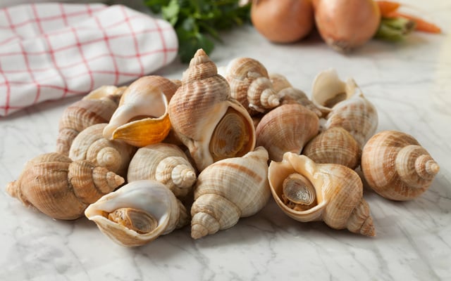 Cuisson des bulots