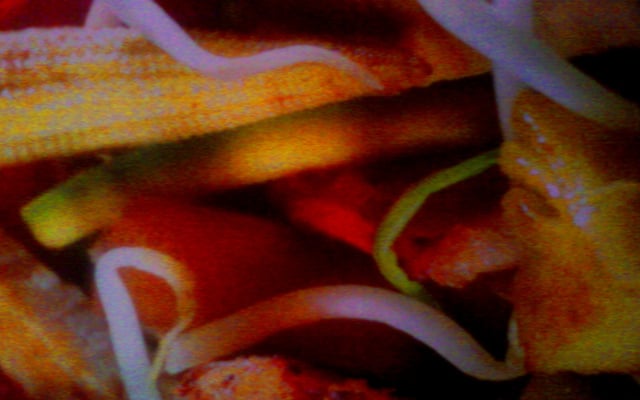 Poulet sauté aux légumes