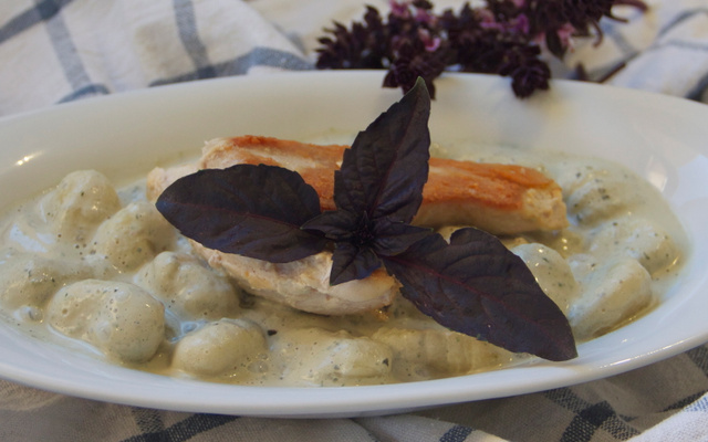 Gnocchi sauce basilic pourpre et poulet rôti
