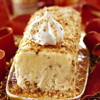 Bûche glacée pralinée