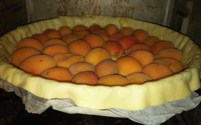 Tarte fine aux Abricots