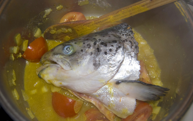 Tête de saumon comme à Goa.