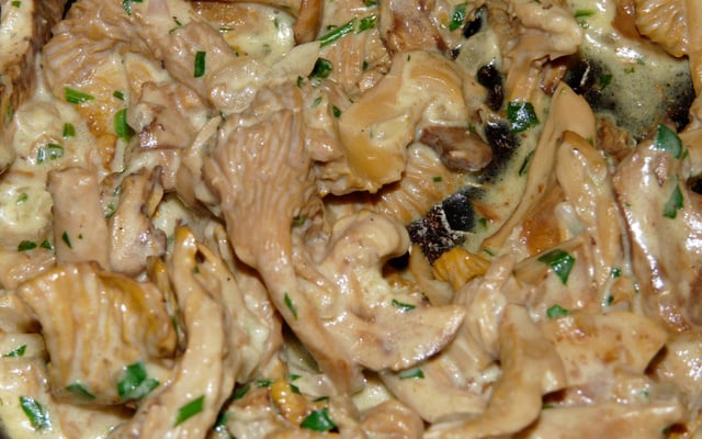 Girolles à la crème