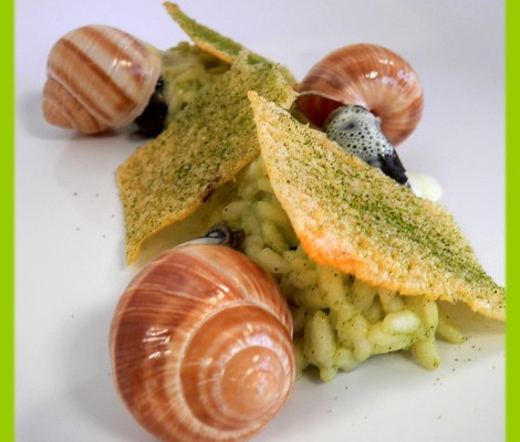 Escargots, risotto thé vert et tuiles parmesan