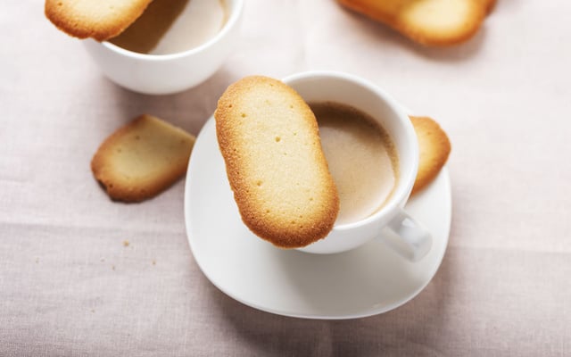 Langues de chat faciles et rapides