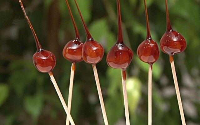 Noisettes caramélisées