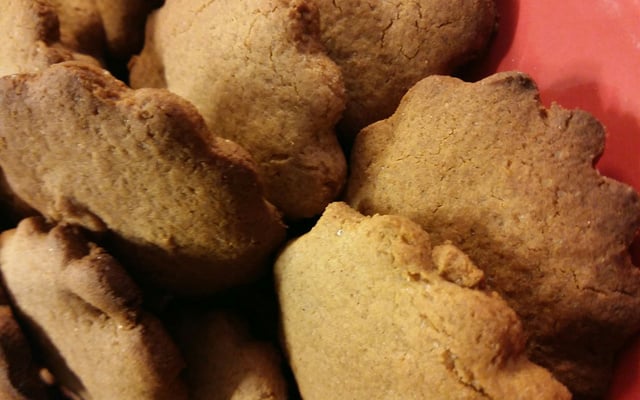 Petits sablés au miel et à la cannelle 