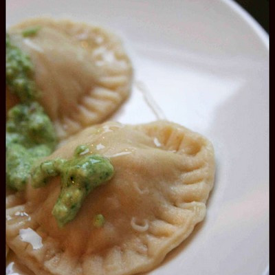 Raviolis au poulet et au fromage de brebis, sauce aux fleurs d'ail des ours