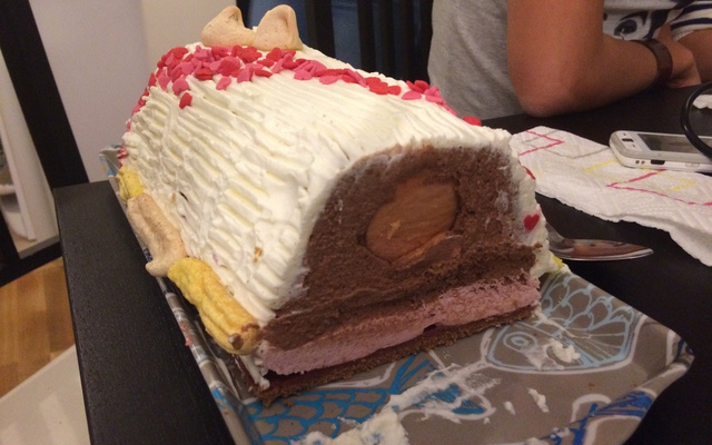 Ma bûche cachée