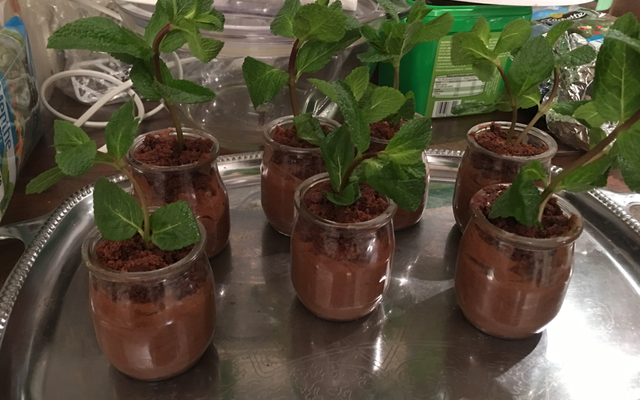 Mousse au chocolat façon pot de fleur
