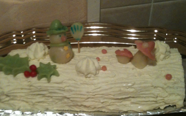 Bûche au chocolat blanc et mousse de framboises