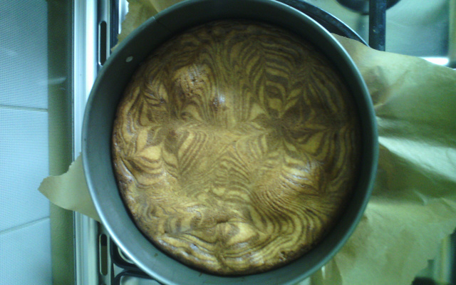 Cake zébré