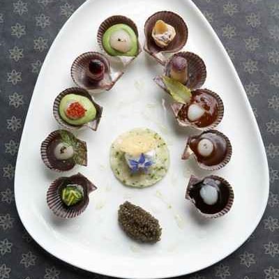 Pétoncle de la rade de Brest en palette de goûts