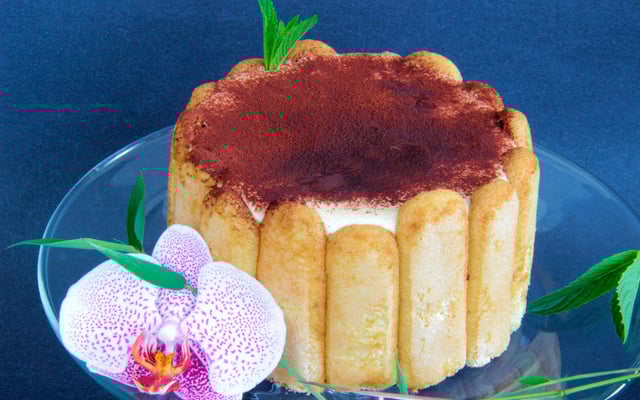 Charlotte tiramisu