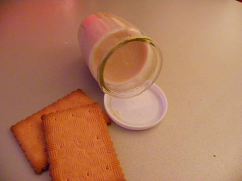 Yaourt aux biscuits