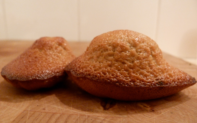 Madeleine aux fruits rouges