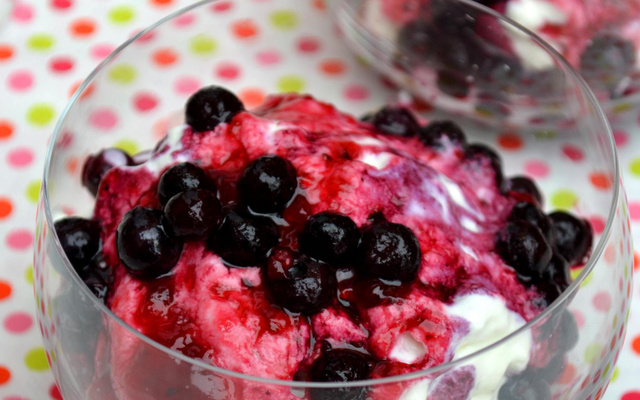 Panna montata aux myrtilles