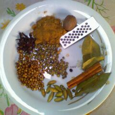 Garam masala aux épices 