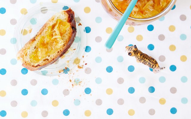 Confiture d'endives et oranges de mamie