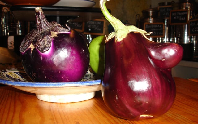Aubergine Oliviera