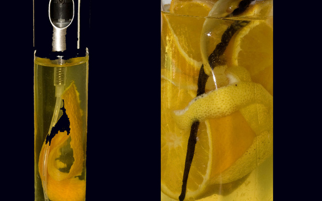 Eau de parfum, spray de liqueur d'orange