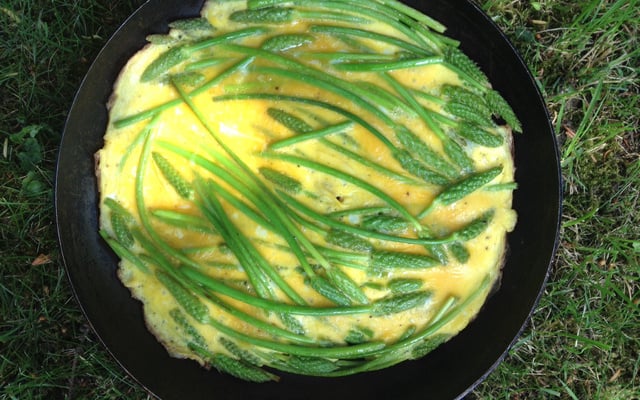 Omelettes aux asperges