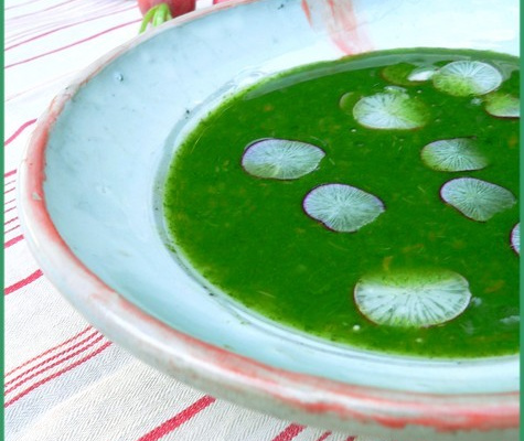 Soupe de fanes de radis, tapioca