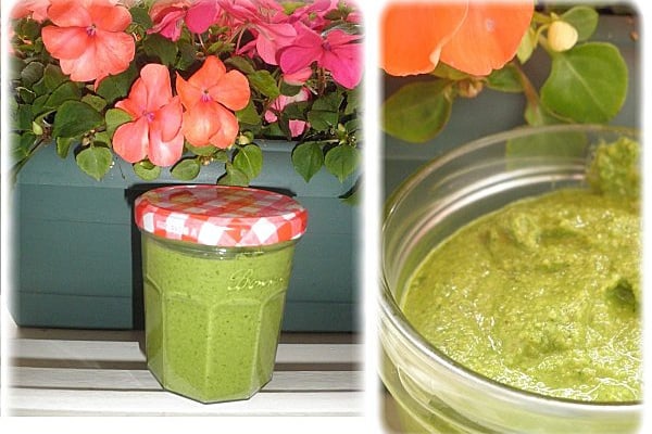 Pesto de fanes de radis