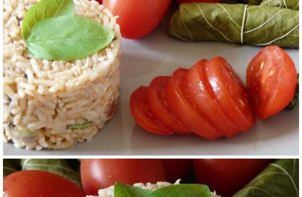 Feuille de vigne et sa garniture