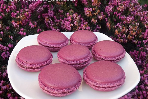 Macarons à la framboise économiques