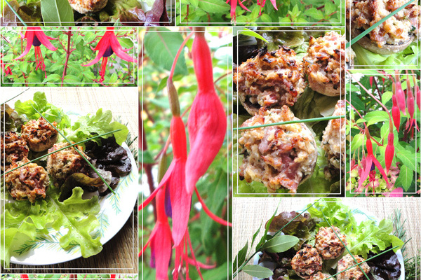 Têtes de champignons farcis