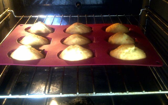 Madeleines au miel maison