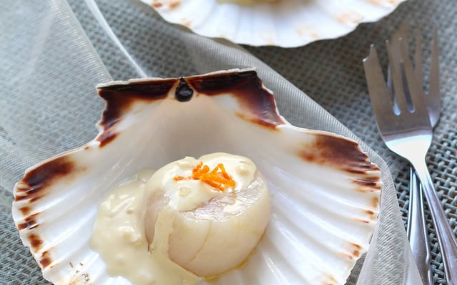 Saint-Jacques juste rôties au four combiné vapeur, sauce à l'orange