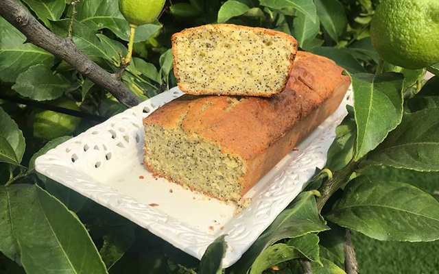 Cake au citron et pavot bleu