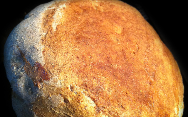 Pic'Nik Mexican Buns !