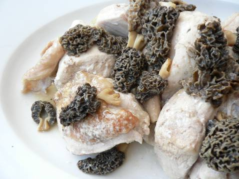 Poulet au vin jaune et aux morilles