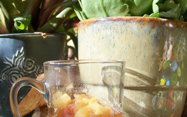 Compote de pommes et prunes à la fève tonka